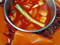 -蜀九香火锅(九眼桥店)