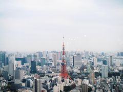 -六本木新城展望台(东京城市景观)