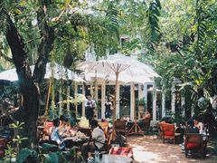 -Fern Forest Cafe