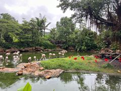 -珠海长隆海洋王国
