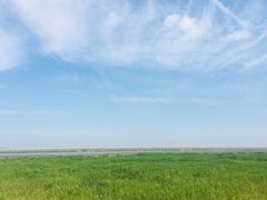-金山嘴渔村