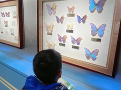 -上海昆虫博物馆