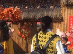 -武汉紫薇都市田园