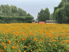 -祥源·阜阳生态乐园