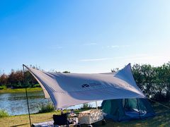 -春花秋色城市公园