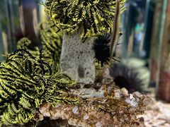 -太平洋海底世界