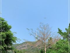 -梧桐山风景名胜区