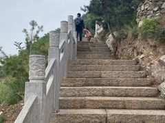 -象山森林公园