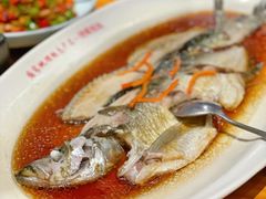 -丹江渔村(望京店)