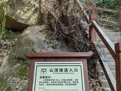 -广州白江湖森林公园