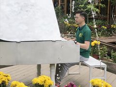 -花溪雨·森林餐厅(石基店)