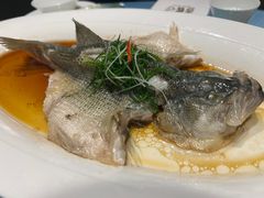 清蒸鲈鱼-青螺餐厅·家宴(松雅湖店)