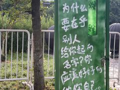 -乌村
