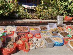 -西双版纳傣族园