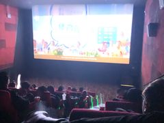 -龙之星国际影城(太平店)