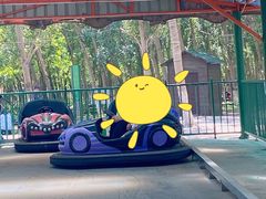 -长白岛森林公园