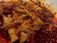 -院8里·小聚园老川菜(九眼桥店)