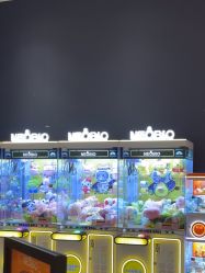 -奈尔宝家庭中心·亲子餐厅(宝安店)
