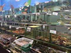 -波记美食店·现捞海鲜