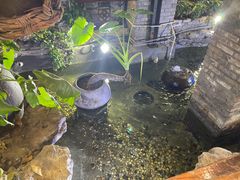 -大水车公馆·顺德菜·妈姐菜(均安店)
