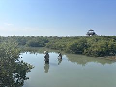 -北海金海湾红树林生态旅游区