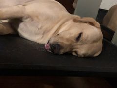 -Doors独立剧情密室(东门分店)