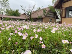 -良渚古城遗址公园