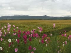 -凤凰山国家森林公园