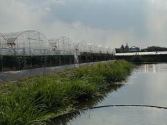 -马陆小张葡萄园农家乐