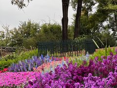 -云溪植物园