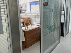 -心仪动物医院·牙专科·肿瘤·心脏科(西客站院)