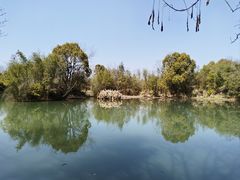 -西溪国家湿地公园