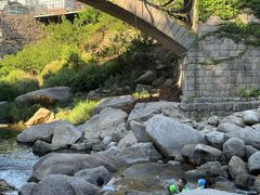 -崂山水果园农家宴(泉水鸡店)