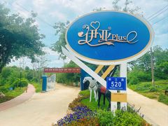 -三圣花乡旅游区