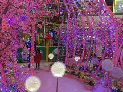 -万达广场(南宁青秀店)