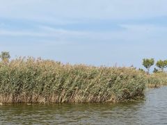 -南大港湿地风景区