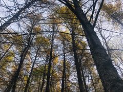 -驼梁风景区
