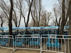 -野鸭湖国家湿地公园