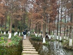 -重庆彩云湖湿地公园