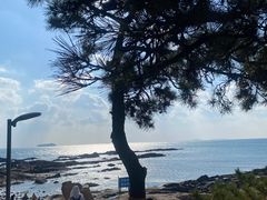 -青岛第二海水浴场