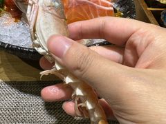 -左舞日本料理