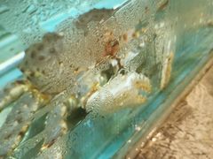 -海逸海鲜酒家(古北店)