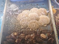 -南沙十九涌渔人码头-南门