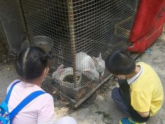 -双新垂钓园