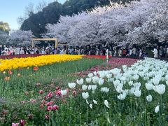 -苏州上方山国家森林公园