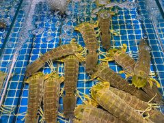 -三亚火车头万人海鲜广场