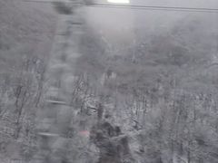-秦岭风景区