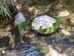 -碓臼峪自然风景区