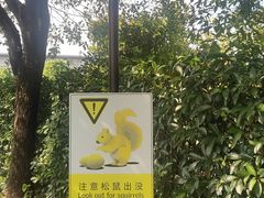 -上海佘山世茂艾美酒店