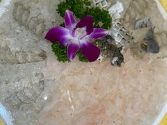 -官塘陈记鱼生·潮汕砂锅粥·牛肉火锅(潮枫路总店)